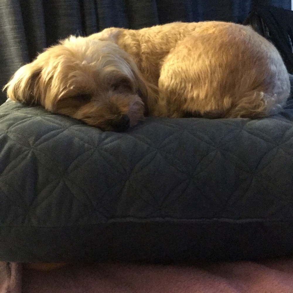 Meet your Posher, Sara